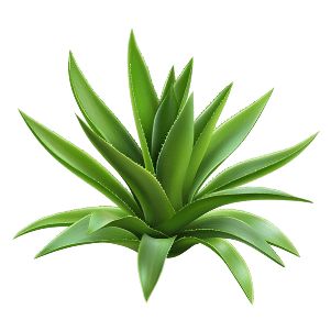 inulin manufacturer, agave inulin bulk