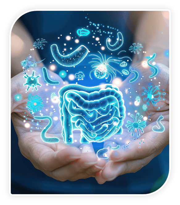 inulin prebiotic fiber